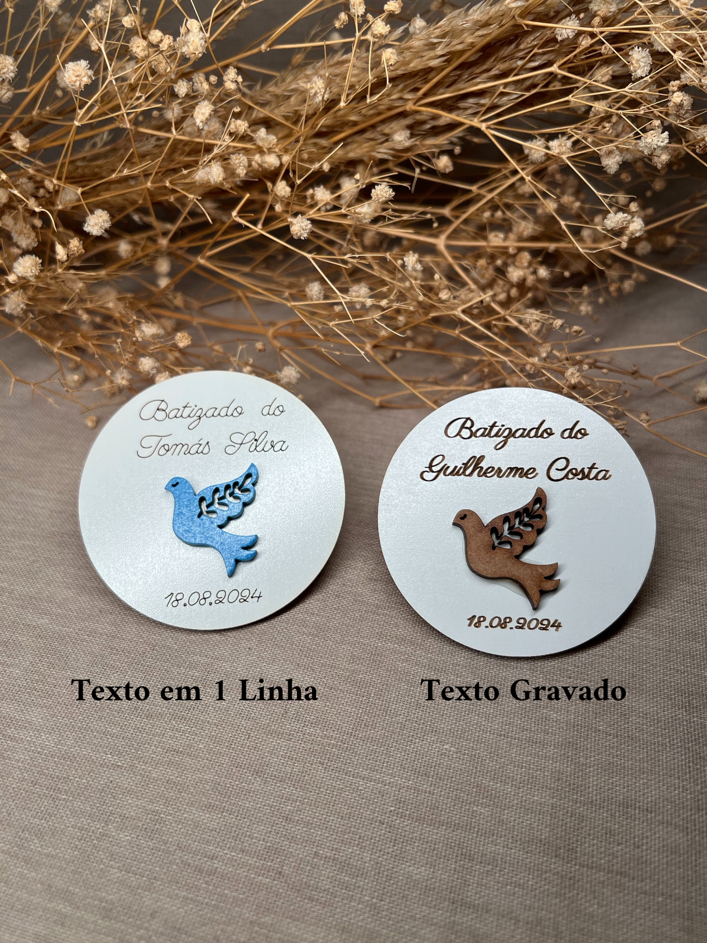 Círculo com Pomba