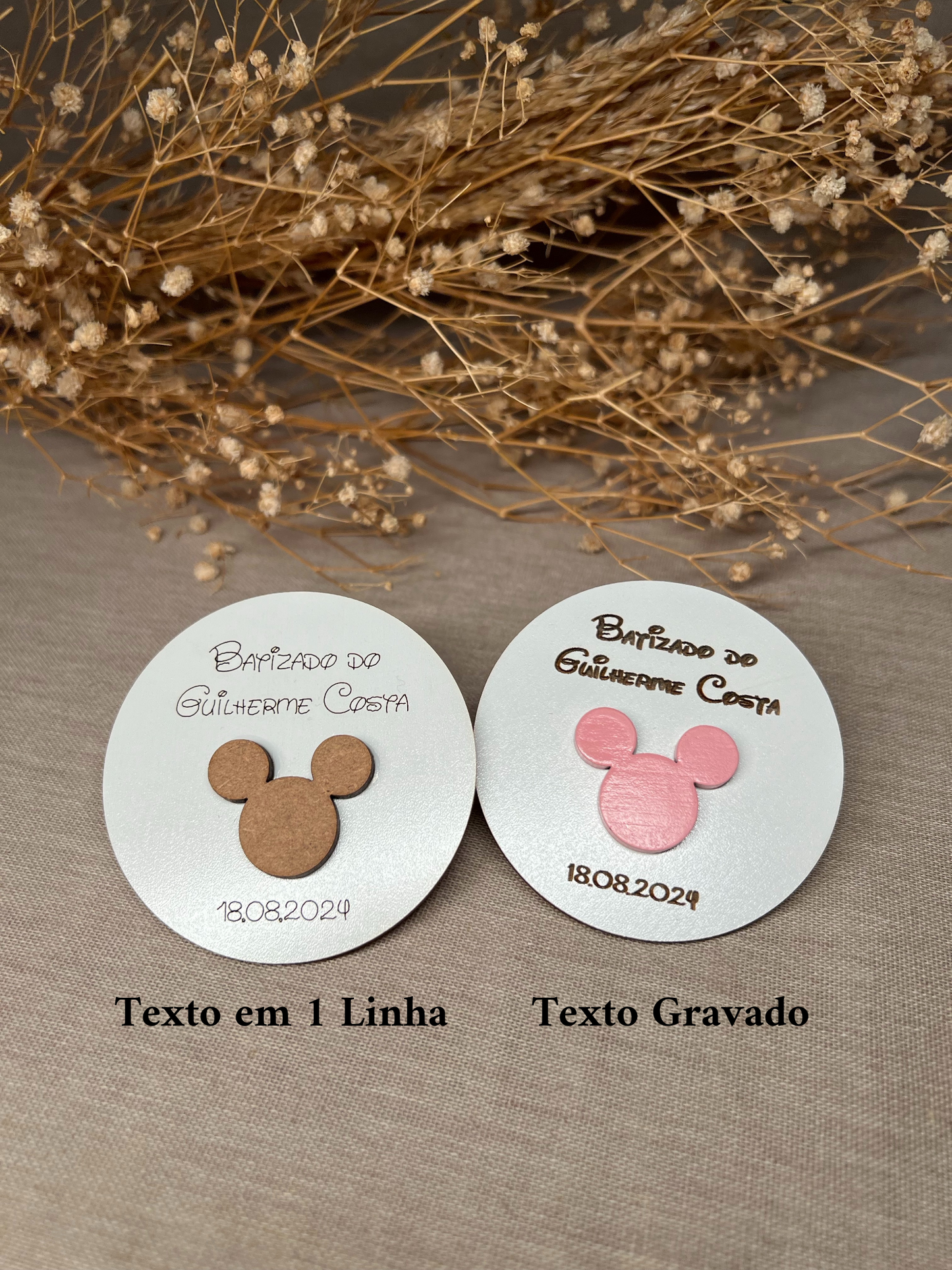 Círculo com Mickey
